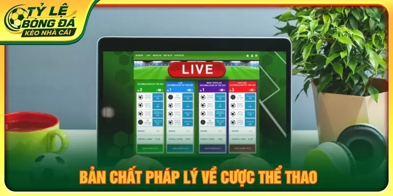 Bản chất pháp lý về cược thể thao