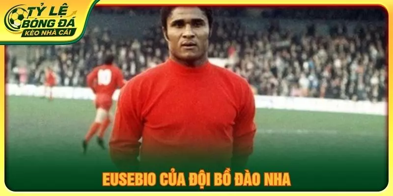 Eusebio của đội Bồ Đào Nha
