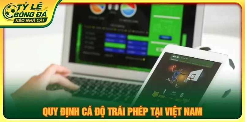 Quy định cá độ trái phép tại Việt Nam