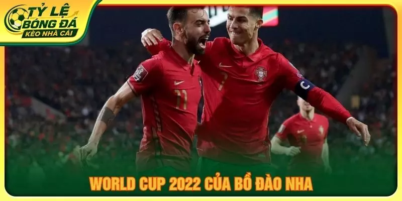 World Cup 2022 của Bồ Đào Nha