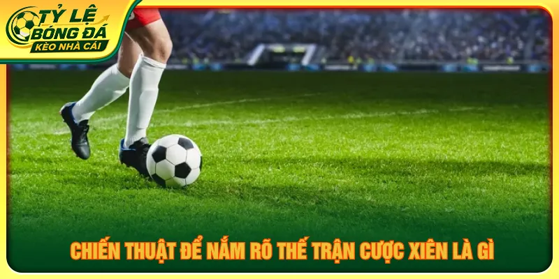 Áp dụng bí kíp giúp người chơi lựa chọn tỷ lệ chơi hợp lý