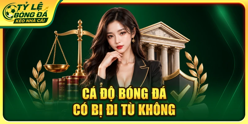 cá độ bóng đá có bị đi tù không