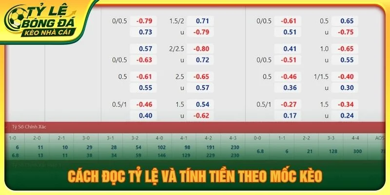 Cách đọc tỷ lệ và tính tiền theo mốc kèo