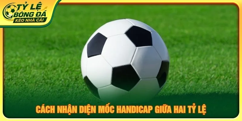 Cách nhận diện mốc handicap giữa hai tỷ lệ