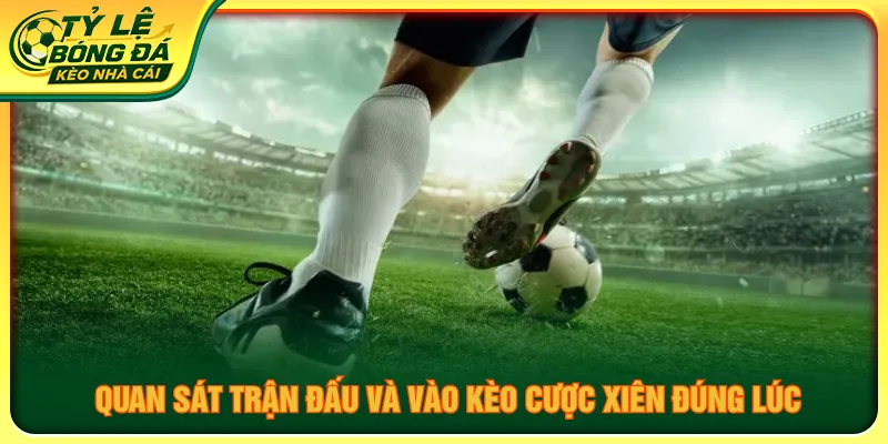 Cần kết hợp dữ liệu trận đấu và quan sát kỹ cược xiên là gì