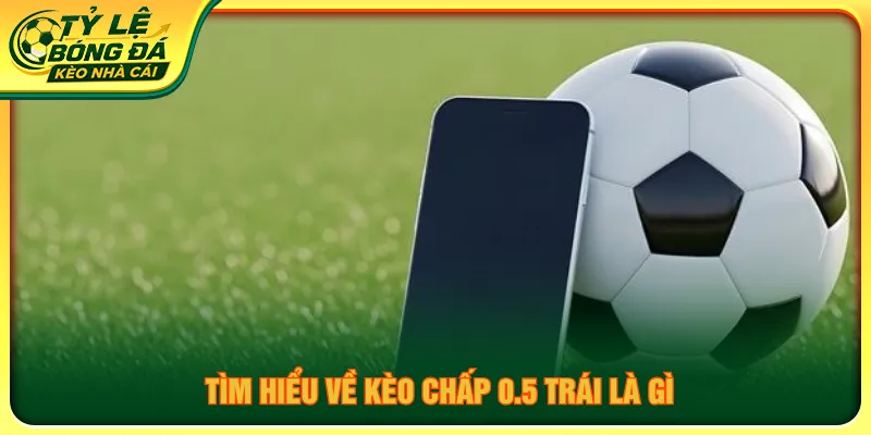 Chấp 0.5 trái là gì giúp quá trình nhận định hiệu quả