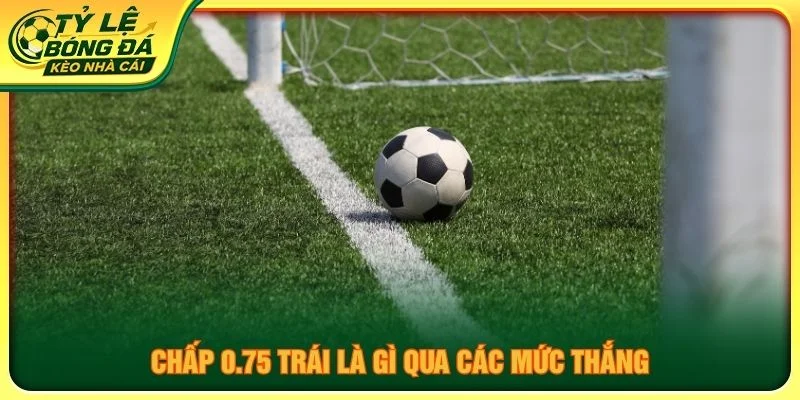 Chấp 0.75 trái là gì qua các mức thắng