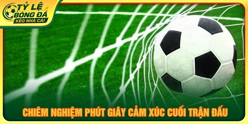 Chiêm nghiệm phút giây cảm xúc cuối trận đấu