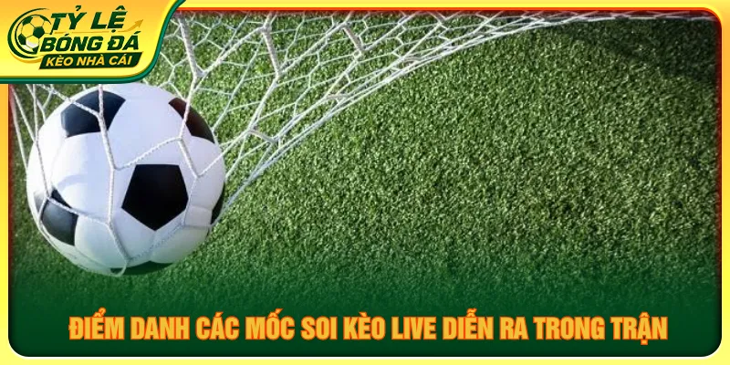 Có nhiều mốc cược live diễn ra người mới cần nắm rõ
