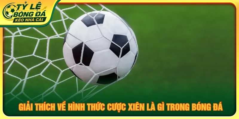 Cược xiên là gì người chơi cần chọn nhiều dự đoán một lần