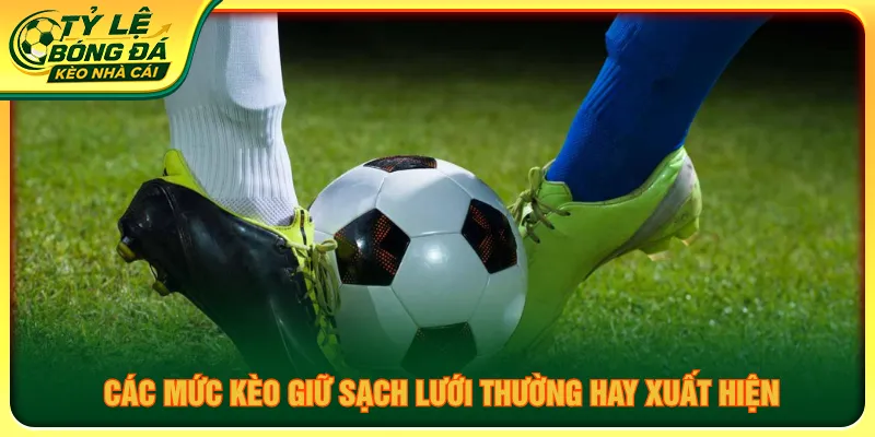 Đa dạng các hình thức cược để lựa chọn theo chiến thuật