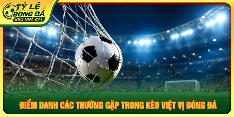 Đa dạng các mức tỷ lệ kèo bóng đá nhà cái để đặt cược