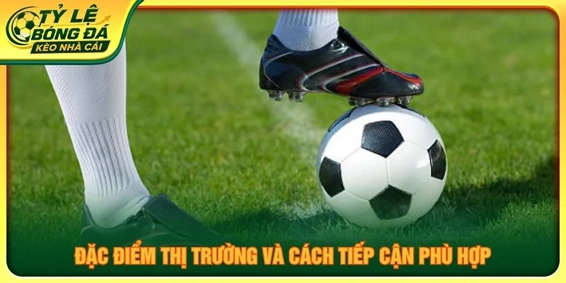 Đặc điểm thị trường và cách tiếp cận phù hợp