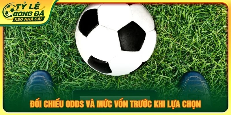 Đối chiếu odds và mức vốn trước khi lựa chọn