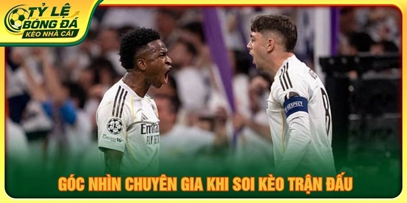 Góc nhìn chuyên gia khi soi kèo trận đấu