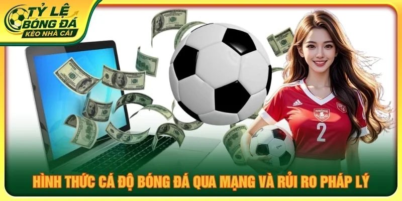 Hình thức cá độ bóng đá qua mạng và rủi ro pháp lý