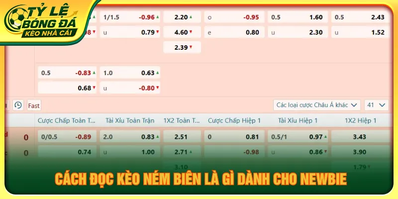 Hướng dẫn cách đọc cược chuẩn xác cho người chơi mới
