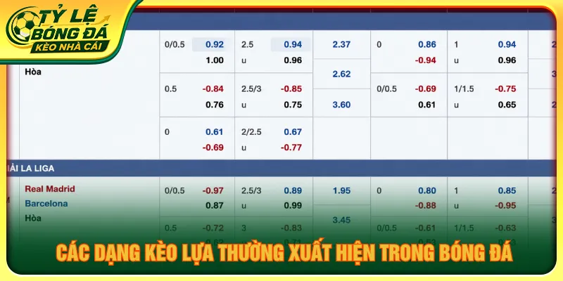 Kèo lựa là gì cung cấp nhiều loại cược để người chơi lựa chọn