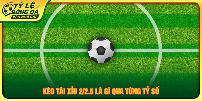 Kèo tài xỉu 2/2.5 là gì qua từng tỷ số
