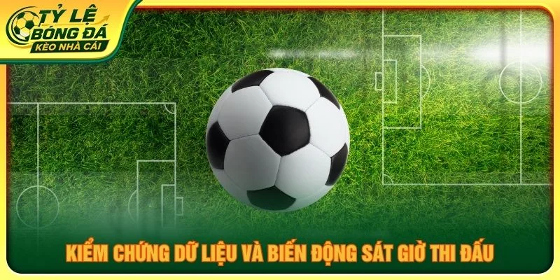 Kiểm chứng dữ liệu và biến động sát giờ thi đấu