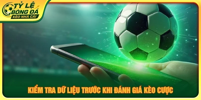 Kiểm tra dữ liệu trước khi đánh giá kèo cược