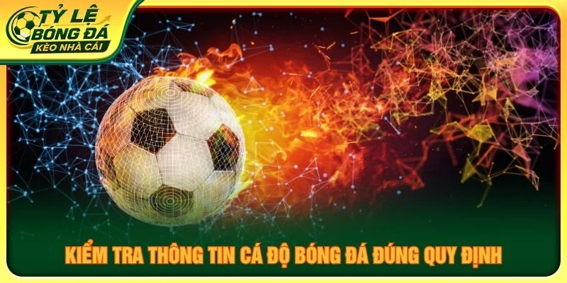 Kiểm tra thông tin cá độ bóng đá đúng quy định