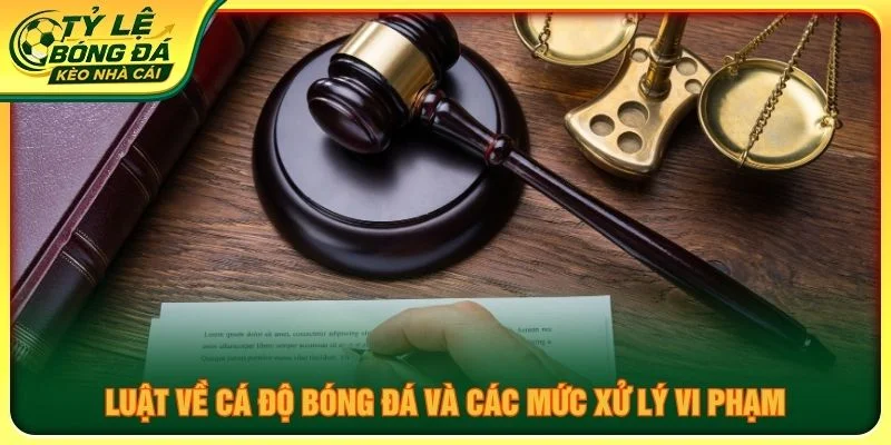 Luật về cá độ bóng đá và các mức xử lý vi phạm