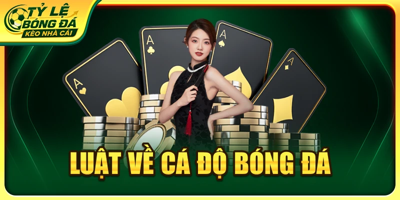Luật Về Cá Độ Bóng Đá: Quy Định Và Mức Phạt Cần Biết