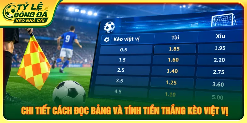 Nắm rõ chi tiết cách đọc bảng và tính tiền của kèo việt vị