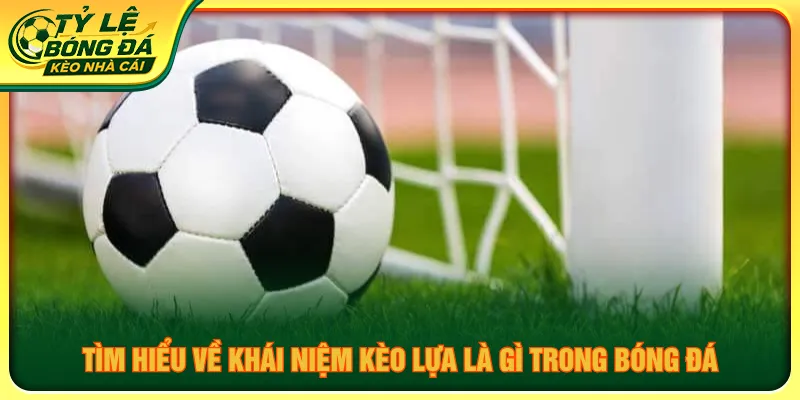 Nắm rõ khái niệm và cách chơi của hình thức kèo lựa là gì