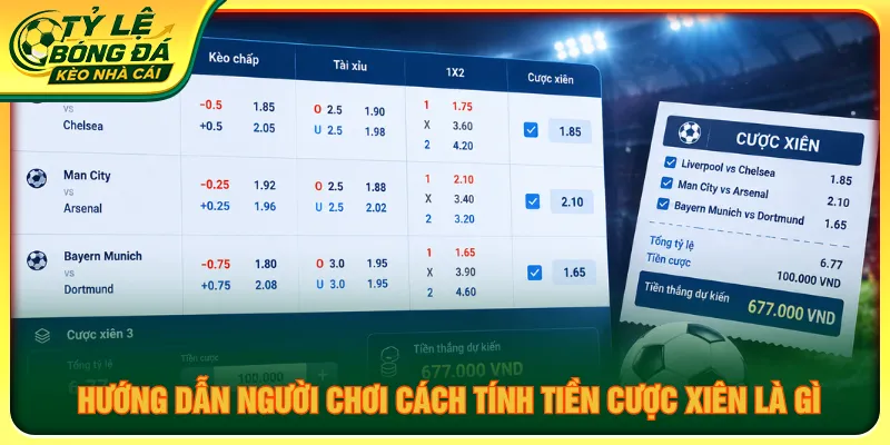 Người mới nắm rõ quy tắc tính thắng thua cược xiên là gì