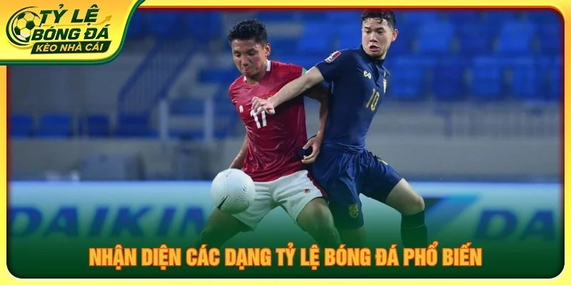Nhận diện các dạng tỷ lệ bóng đá phổ biến