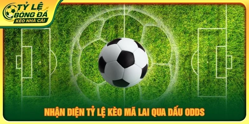 Nhận diện tỷ lệ kèo mã lai qua dấu odds