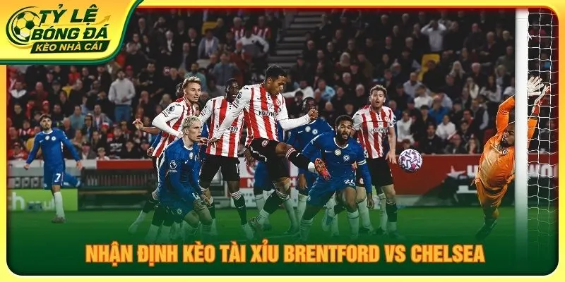 Nhận định kèo tài xỉu Brentford vs Chelsea
