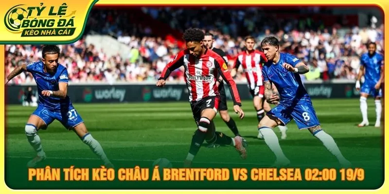 Phân tích kèo châu Á Brentford vs Chelsea 02:00 ngày 19/9