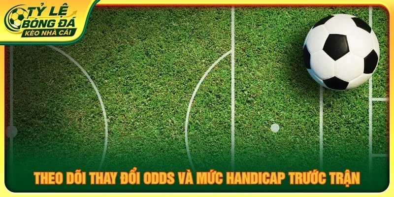 Theo dõi thay đổi odds và mức handicap trước trận