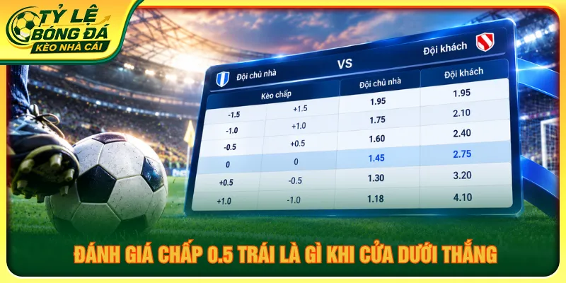 Tìm hiểu về cửa dưới thắng trong chấp 0.5 trái là gì