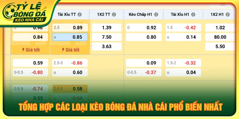 Tổng hợp các loại kèo bóng đá phổ biến, giúp người xem dễ dàng theo dõi và phân biệt