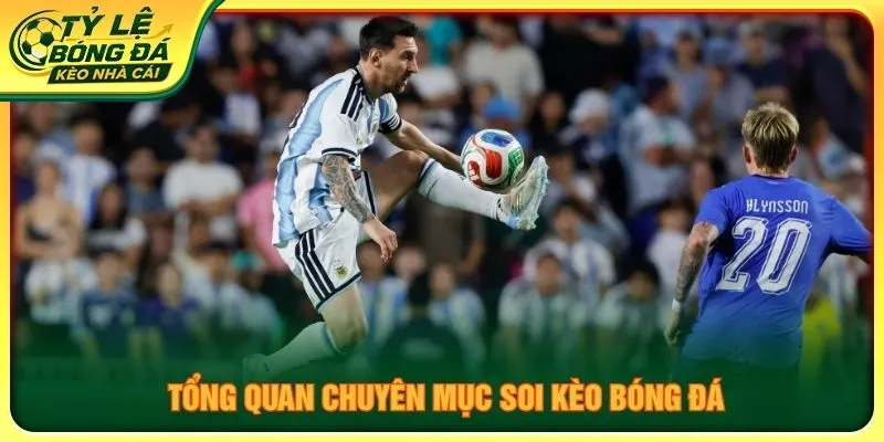 Tổng quan chuyên mục soi kèo bóng đá