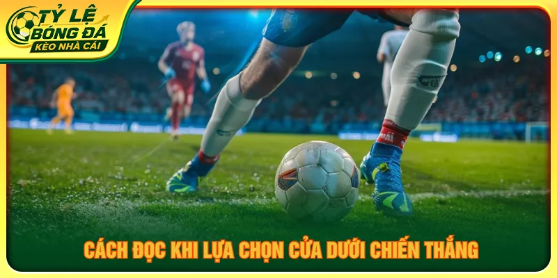 Trường hợp đội cửa dưới thắng đòi hỏi cân nhắc kỹ lưỡng